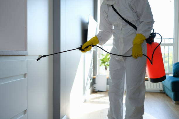 Kannapolis, NC Mold Removal Company